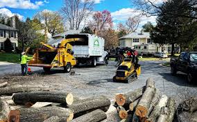 Best Lawn Renovation and Restoration  in La Cresta, CA